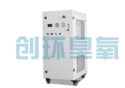 巴中石斑鱼养殖水质调控完整指南：臭氧发生器配置与操作步骤