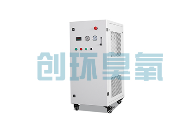 巴中比传统换水更高效？臭氧发生器在石斑鱼养殖中的水质净化原理解析